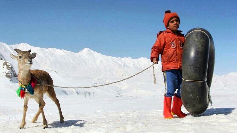 دانلود فیلم اسکی باز