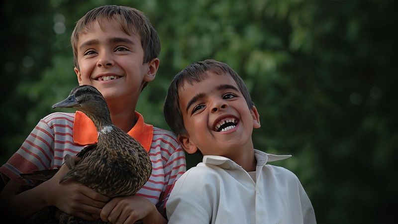 دانلود فیلم پرواز مرغابی ها