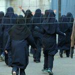 دانلود سریال پرگار