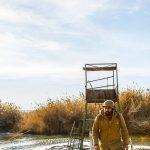 دانلود سریال شاهرگ