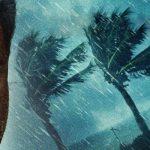 دانلود فیلم قدرت طبیعت 2020