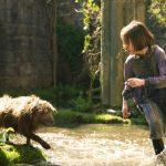 دانلود فیلم باغ اسرار آمیز 2020