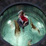 دانلود انیمیشن کله کدو 1 2010