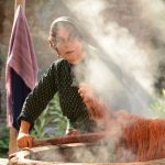دانلود فیلم بنفشه آفریقایی