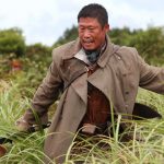 دانلود فیلم نبرد غرش پیروزی 2019