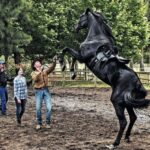 دانلود فیلم زیبای سیاه 2020