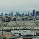 دانلود فیلم پرنده آوازخوان 2020