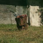 دانلود فیلم قصاب ها 2021