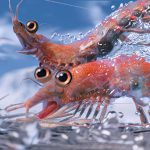 دانلود انیمیشن خوش قدم 2 2011