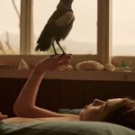 دانلود فیلم شکوفایی پنگوئن 2020