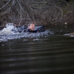 دانلود فیلم سگ قهرمان سفر به خانه 2021