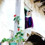 دانلود فیلم زیر درختان زیتون