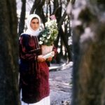 دانلود فیلم زیر درختان زیتون