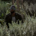 دانلود فیلم قفس پرنده 2018