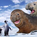 دانلود انیمیشن خوش قدم 1 2006