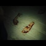 دانلود فیلم خانه شب 2021