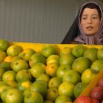 دانلود فیلم حوض نقاشی