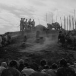 دانلود فیلم هفت سامورایی 1954