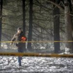 دانلود سریال دکستر خون تازه