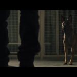 دانلود فیلم سگ 2022