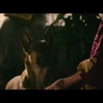 دانلود فیلم سگ 2022