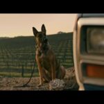 دانلود فیلم سگ 2022