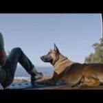 دانلود فیلم سگ 2022