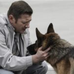 دانلود فیلم سگی به نام پالما 2021