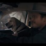 دانلود سریال جو پیکت