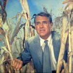 دانلود فیلم شمال از شمال غربی 1959