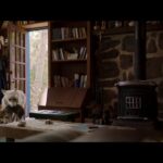 دانلود فیلم شیر و گرگ 2021