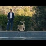 دانلود سریال هیجان زده