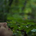 دانلود فیلم تنها نخواهی بود 2022