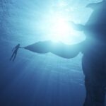 دانلود فیلم آواتار 2 2022