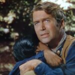 دانلود فیلم پیکان شکسته 1950