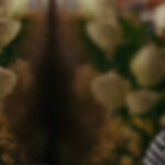 دانلود فیلم علاقه 2022