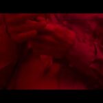 دانلود فیلم شکوهمند 2022
