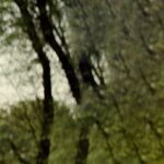 دانلود فیلم واحد رسیدگی به قتل 2022