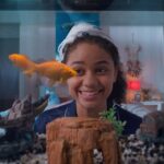 دانلود فیلم مورد عجیب خلیج دلفین 2022