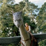 دانلود فیلم اراگون 2006