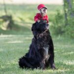 دانلود فیلم رمی پسر هیچکس 2018