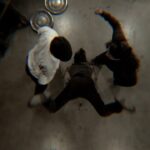 دانلود فیلم ارباب سایه 2022