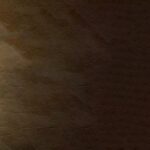 دانلو فیلم روح مهمان 2022