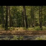 دانلود فیلم ضربه زدن به کابین 2023