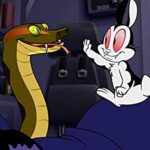 دانلود انیمیشن خرگوشکولا