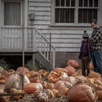 دانلود فیلم تار عنکبوت 2023