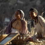 دانلود سریال مجریان قانون: باس ریوز