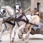 دانلود فیلم کتاب کلارنس 2024