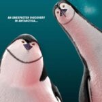 دانلود فیلم فلفل یخ 2017