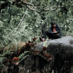 دانلود فیلم رورشاخ 2022